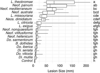 Phylogenomics of Plant-Associated Botryosphaeriaceae Species